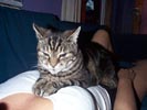sophie liying on Lesley 02.jpg